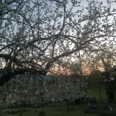 Silentium Domus Doo Bed & Breakfast