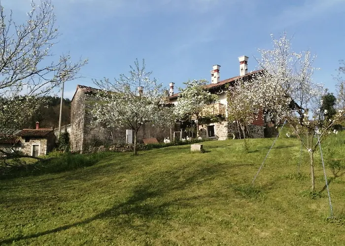 Silentium Domus Doo Gornje Vreme