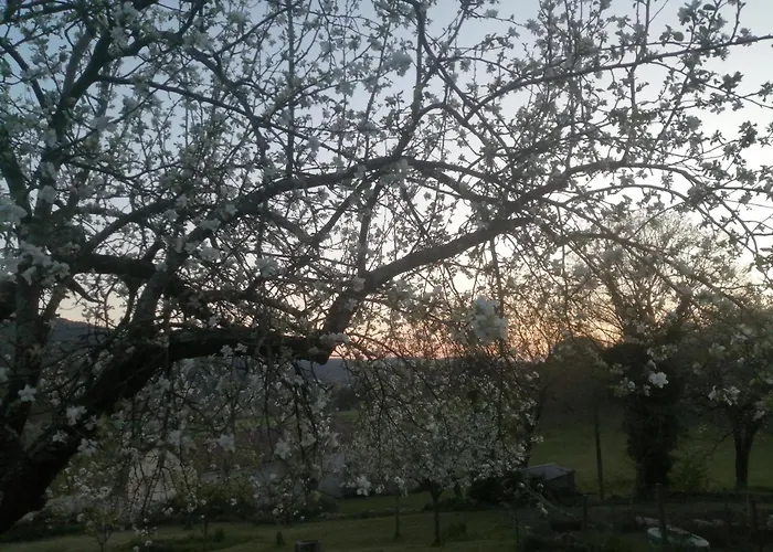 Silentium Domus Doo فندق مبيت وإفطار